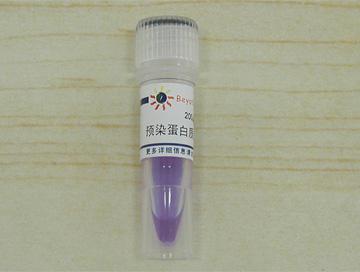 预染蛋白质分子量标准(19-117kD)